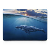 MAC-ASORTED01-SHARKSEA